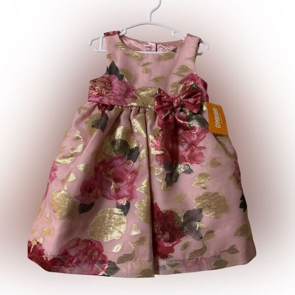 Nwt Gymboree 18-24 rose dress - Picture 1 of 2